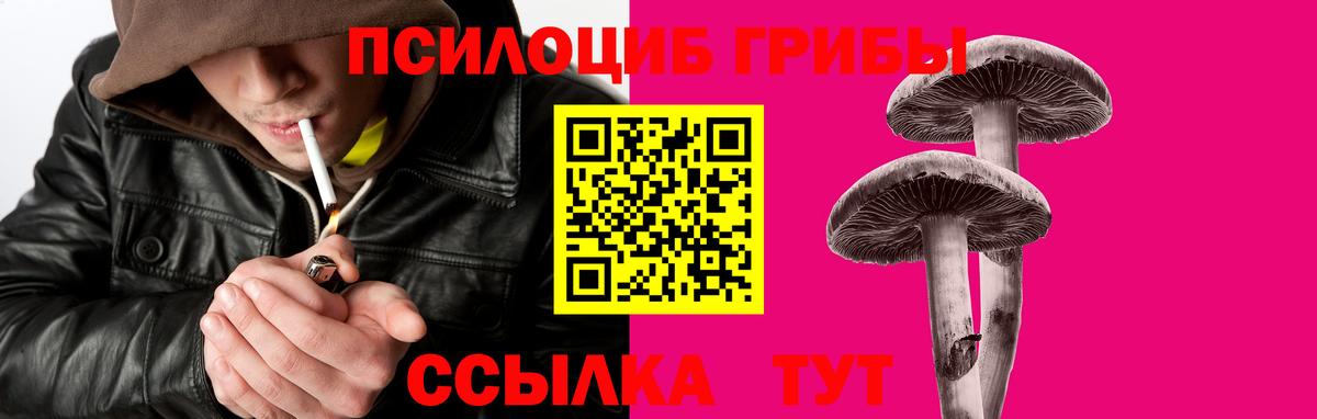 Галлюциногенные грибы прущие грибы  Вход с VPN  закладки  Кемерово 